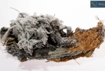 North Carolina Guía del trabajador sobre la asbestosis: Qué hacer si ha estado expuesto