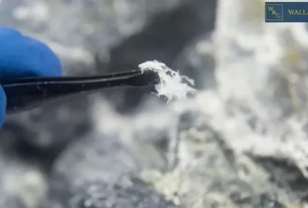 ¿Cuánta exposición al amianto provoca cáncer?