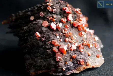 Crystalline Silica: Everything You Need to Know