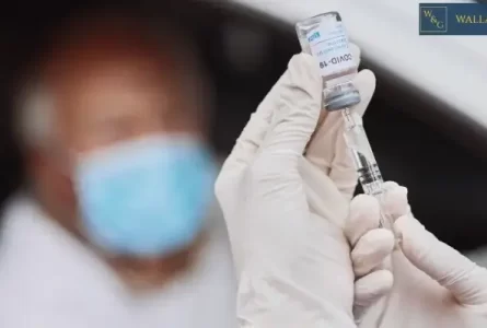 Why Is Silica Dust So Deadly?