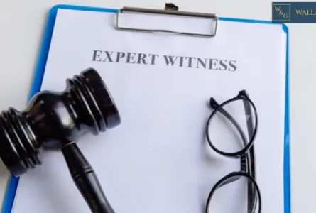 The Role of Expert Witnesses in Mesothelioma Cases